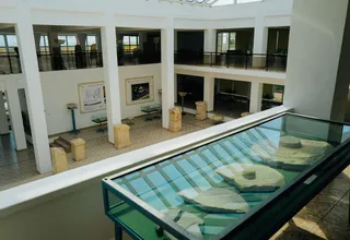 Lire une vitrine de musée sans se perdre